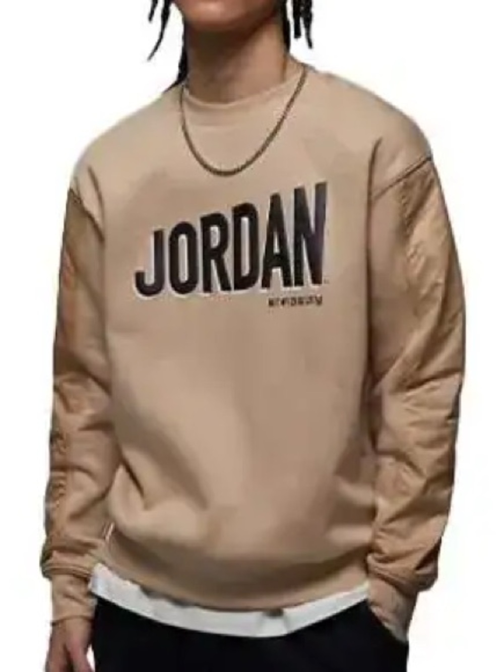 Jordan Men's Crewneck Sweater in Beige